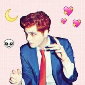 Meet your Posher, Ann